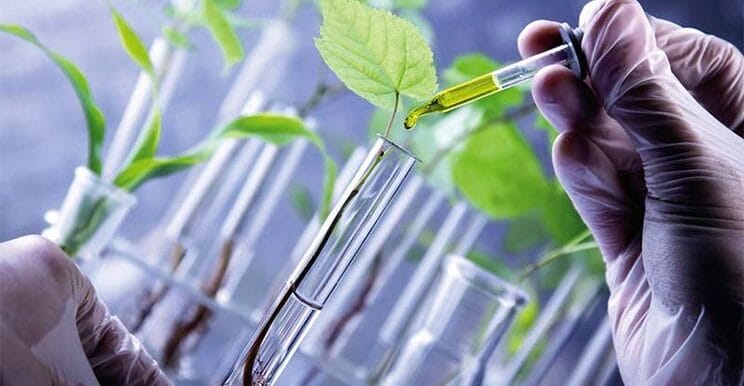 Стаття Що дає біологізація в блозі Інформація та статті