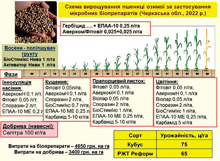 Приклад біотехнологічної схеми живлення й захисту озимої пшениці за програмою Агробактеріум у статті "Технології чи біотехнології?"
